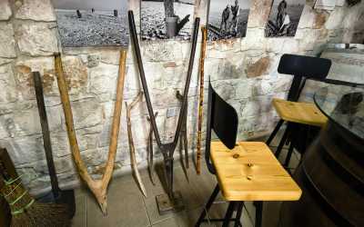 Wycieczka Szlakiem Cypryjskich Winnic - Sterna Winiarnia