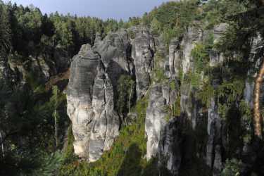 optional trip abroad